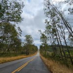 estrada-kael.jpg